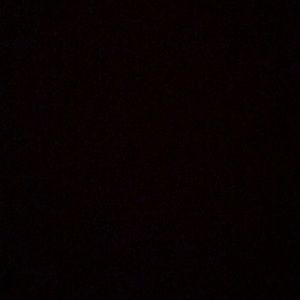 Meet your Posher, Preston